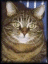 Benutzeravatar